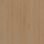 Mangful Beech TA 83324_SU